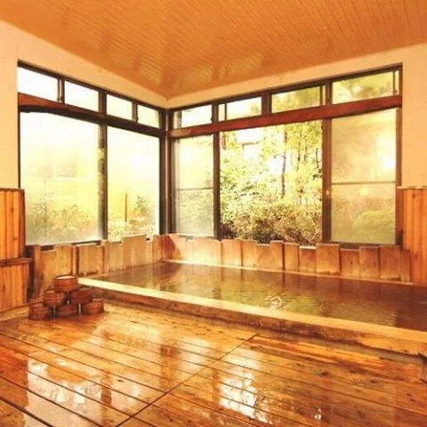 Hinoyu no Yado Matsuhaku - Nagano