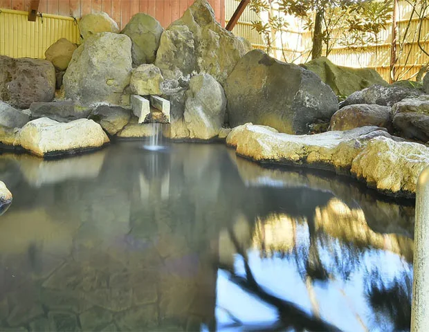 八ヶ岳温泉　樅の木荘