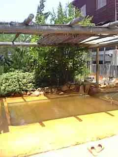 加賀井温泉一陽館