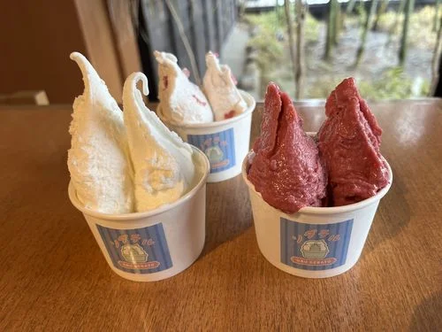 フォトアルバム24