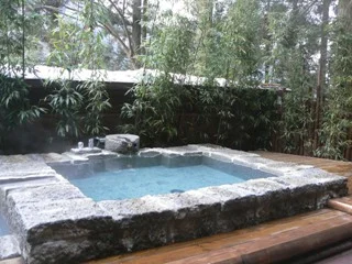 仙仁温泉岩の湯