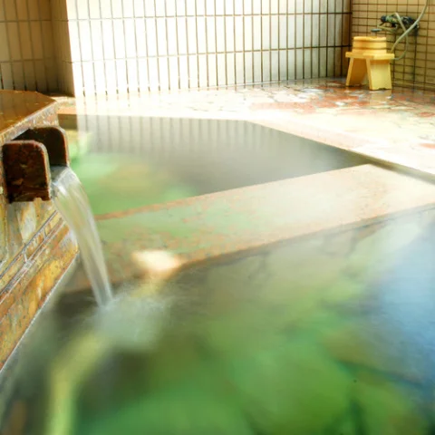 Kamiyamada Onsen Ichijuku Ippuku no Yubo Shunju-an Yumoto Kashiwaya - Nagano