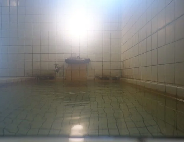 湖畔の温泉宿 蓼科