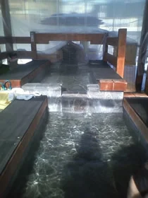和の湯