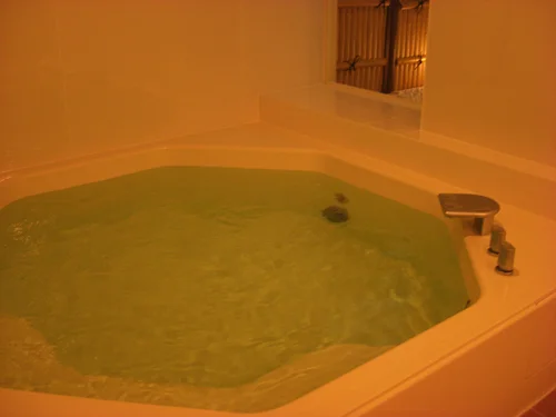 Rochelle Kuruma - Karuizawa - Nagano