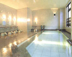 戸倉上山田温泉 ビジネスホテル グリーンプラザ - 長野県