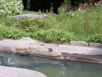 北志賀温泉 高社の湯