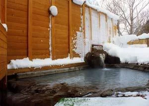 志賀山温泉 ホテルアルペンブルク - 長野県