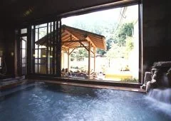 Haya Tarou Onsen, Central Alps View Hotel Kino-kawa - Nagano