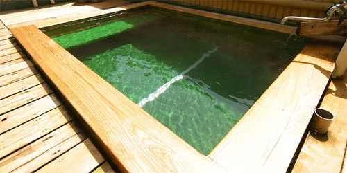 養田屋旅館 - 志賀高原 - 長野県