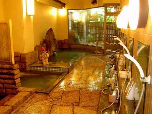 戸倉上山田温泉 心がふれあう民芸の宿 中央ホテル - 長野県