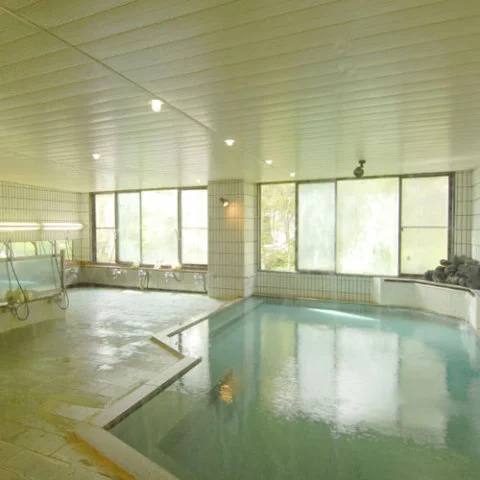 Shirakaba Lake Side Hotel Sankokaku - Nagano