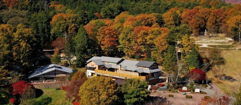 トップメイン画像5