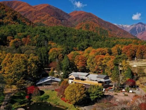 フォトアルバム14