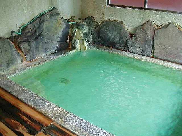 屋敷温泉湯元 秀清館