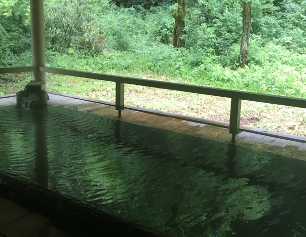 温宿かじか
