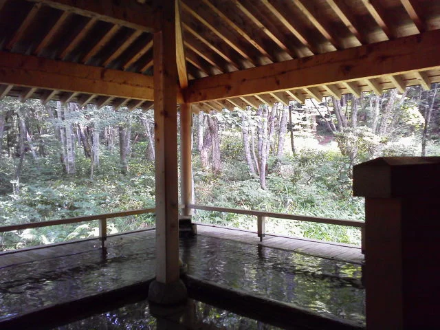 温宿かじか