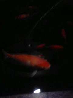 小布施温泉 あけびの湯
