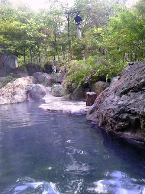 松川渓谷温泉 滝の湯