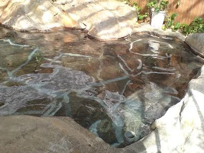 松川渓谷温泉 滝の湯