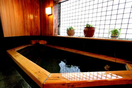 Hakuba Happo Onsen, Mountain Village Hotel Hakuba Hifumi - Nagano