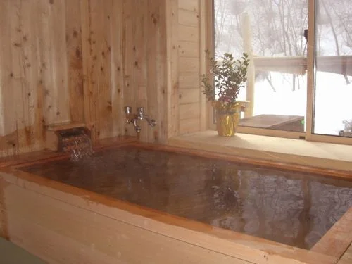 Nagomi's Inn Cocot - Suwa (Nagano) - Nagano