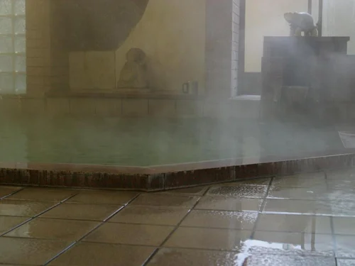 Kamesei Ryokan, Togura-Kamiyamada Onsen - Nagano