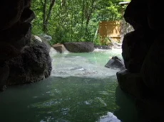 七味温泉紅葉館 紅葉館