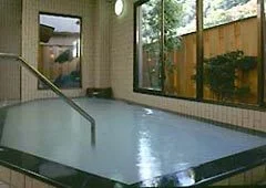 Sanpuso, Tokura-Kamiyamada Onsen - Nagano