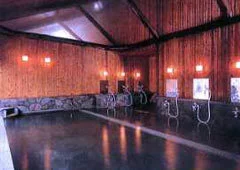 湯田中温泉郷 ホテル豊生 - 長野県