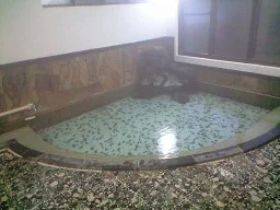 尾上の湯旅館（おのうえのゆ）