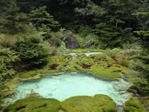 唐沢鉱泉