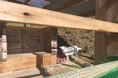 フォトアルバム19