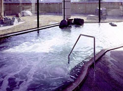 遠山温泉郷 かぐらの湯（休館中）