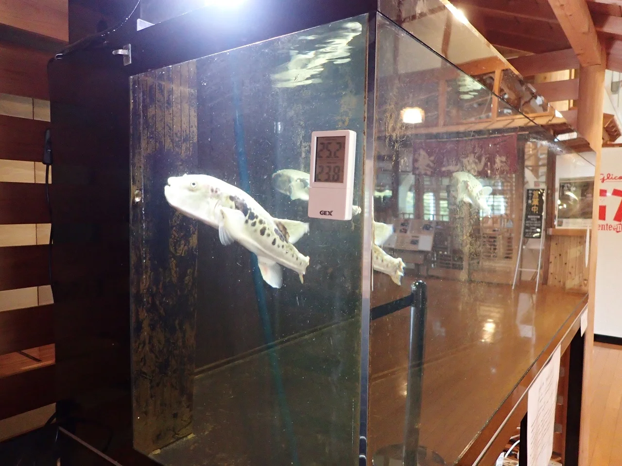 遠山温泉郷 かぐらの湯（休館中）