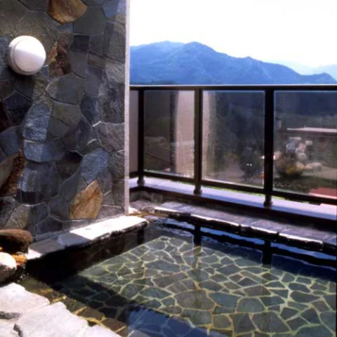 Hotel Meiko - Shiga Kogen - Nagano