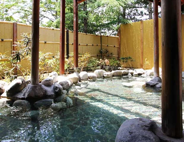 リゾートホテル蓼科（旧 アートランドホテル 蓼科）
