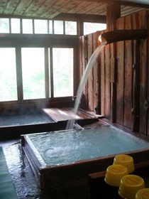 渋辰野館