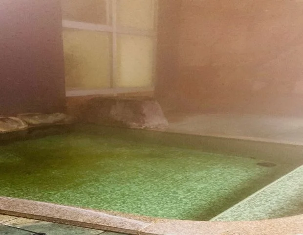 戸倉上山田温泉　有田屋旅館