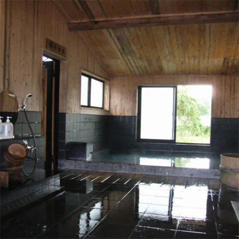 Hakuba Alpin Hotel - Nagano