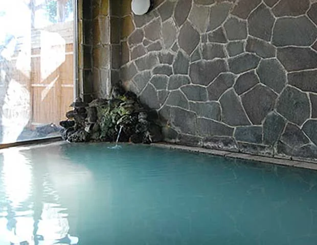 奥山田温泉セルバン白雲館