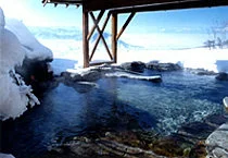 Yomase Onsen Hotel Seran - Nagano