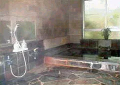 Hotel Vaisshof Happei - Hakuba - Nagano