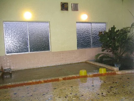 Hotel Nakanoshima - Toya - Hokkaido