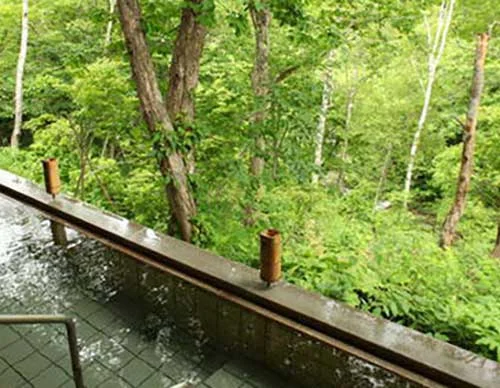 志賀山温泉 渓谷の湯（旧ホテル渓谷）