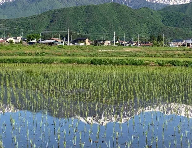 木崎湖温泉 民宿やまく館