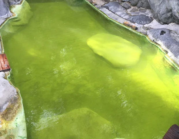 熊の湯ホテル