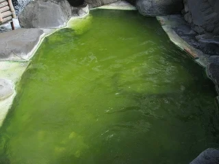 熊の湯ホテル
