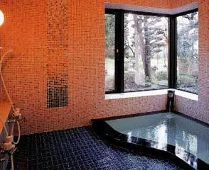 Onyado Ishikawa - Mikasaya - Nagano