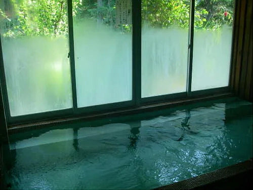 霊泉寺温泉 中屋旅館(中屋本館)